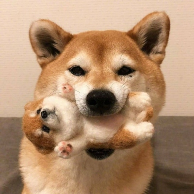 ˫Ҹͷ