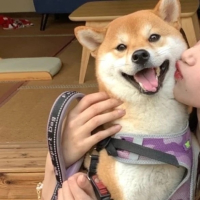 ˵׷ÿͷ