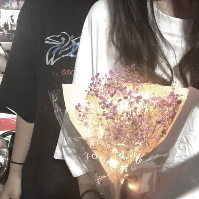 ˫ϵͷ