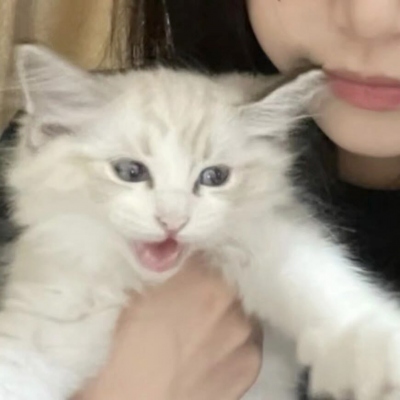 ɼͷ