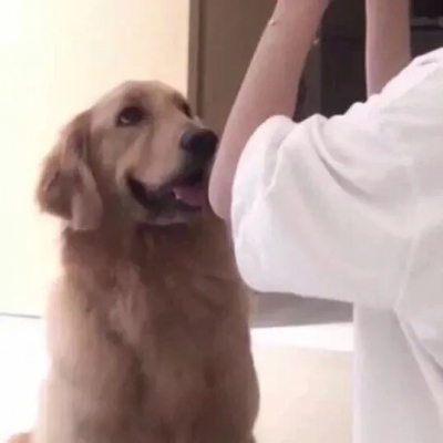 ƷλͷͼƬ