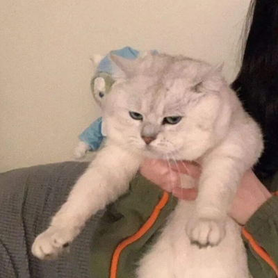 Ψʳͷ