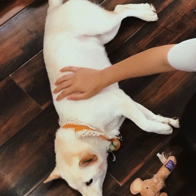 Ψ˧ͷ