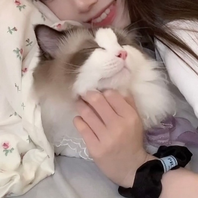 ȫͷϼ