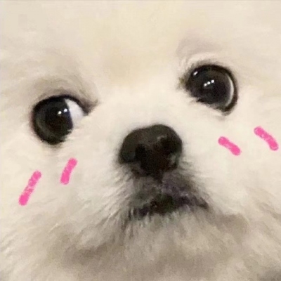 ˫Ҹĳÿͷ