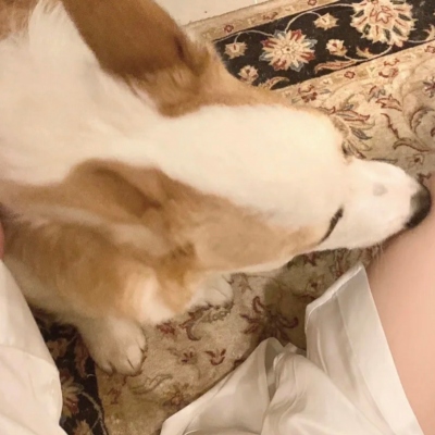 ɼͷ