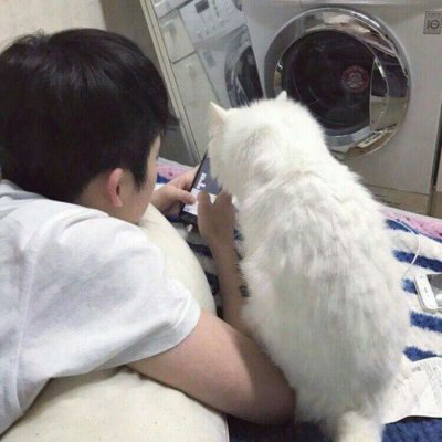 ˸ͷͼƬ
