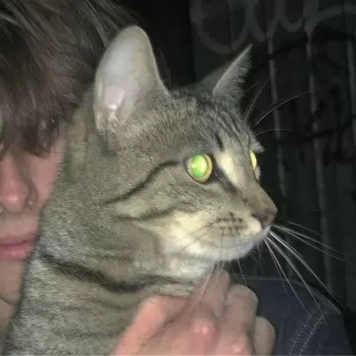 ⾳ͷͼƬΨ
