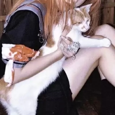 ˸пɰͷŮ