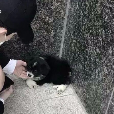 Ψ˧ͷ