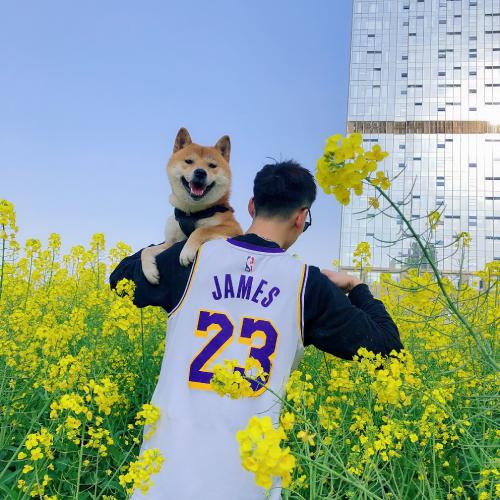 ΨƯͷ