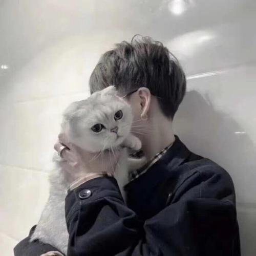 ͷΨ
