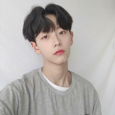 ϵֺ˧ͷϼ