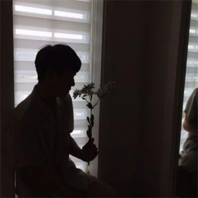 ϵͷ˧˸