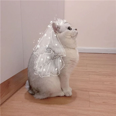 ľµ˫ͷ