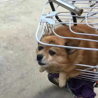 ԵĿɰȳͷͼƬ
