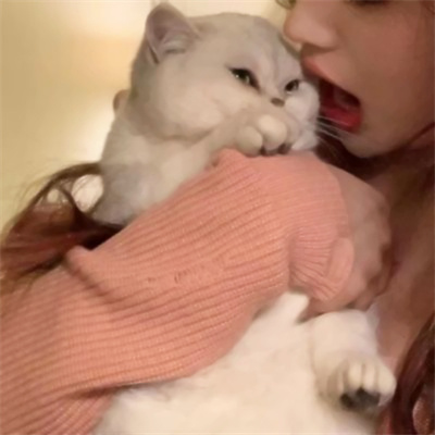 Ѳϵгͷ