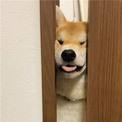 ƤĶͷһһŮ