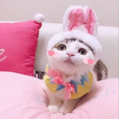 ɰĳͷè乷