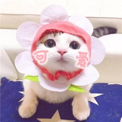 ɰĳͷè乷