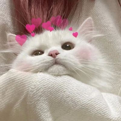 ҺÿĶϵͷһ