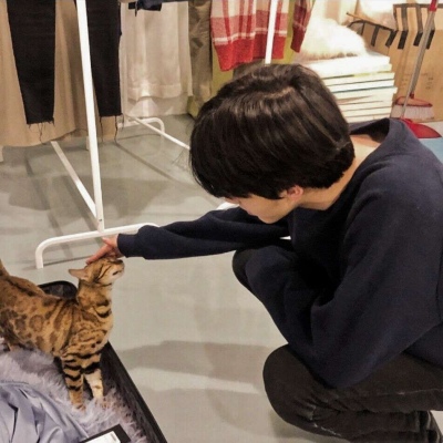 insŸõ˧ͷ