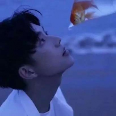 ᾫͷ˧Ins