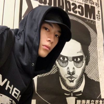 insк˧ͷѡ