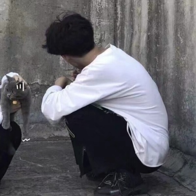ȫͷʸк˧
