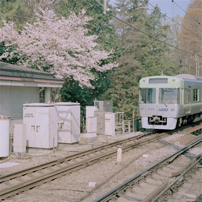 insȦ羰ͷ