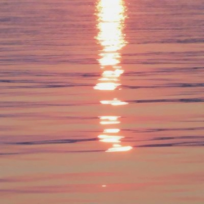 Ԣ΢ŷ羰ͷͼƬȫ