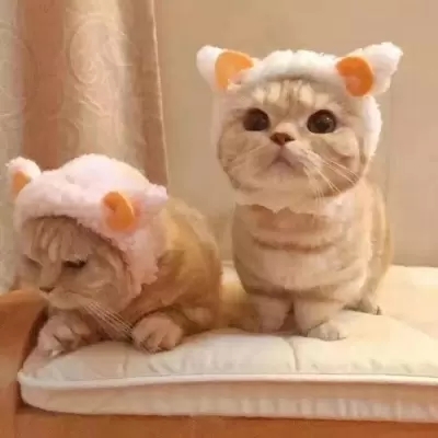 ´èͷɰȫ