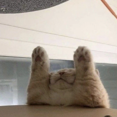 ´èͷɰȫ