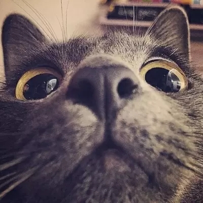´èͷɰȫ