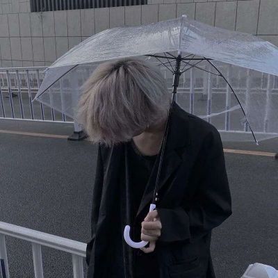 ֺ˧ϵͷ