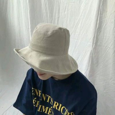 insͷ˧
