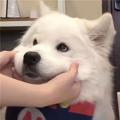 Q治ײͷ