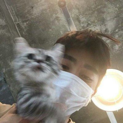 ϵͷͼƬ
