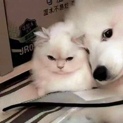 һϿɰĶͷ
