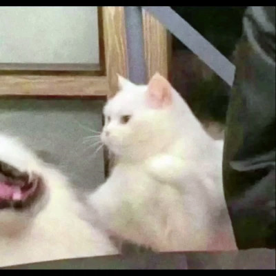 һϿɰĶͷ
