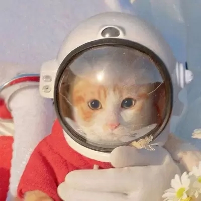 2023ɰèͷ˧ȫ