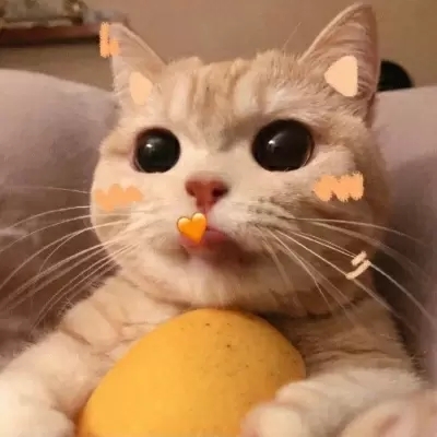 2023ɰèͷ˧ȫ