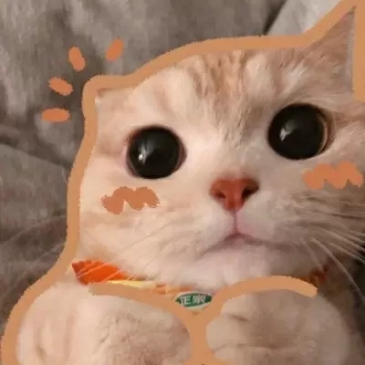 2023ɰèͷ˧ȫ