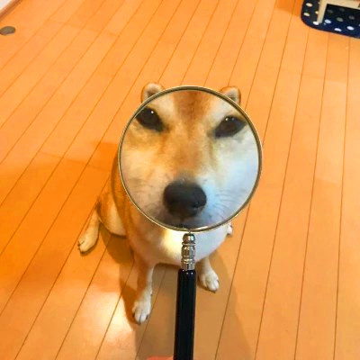 ԸЦͷͼƬ
