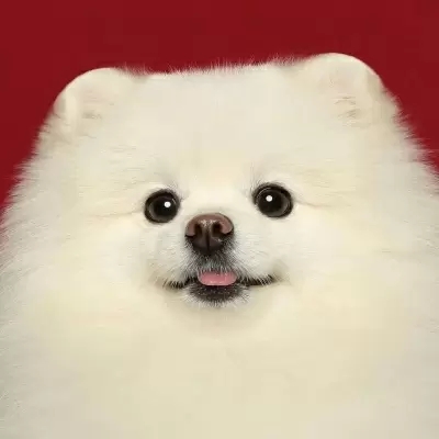 ³ɰֺȵèͷȫ