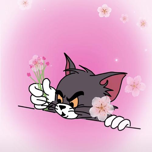 qqͨͷһ
