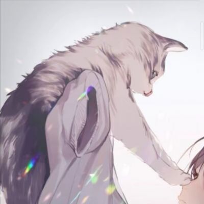 ͷ忨ͨɰ