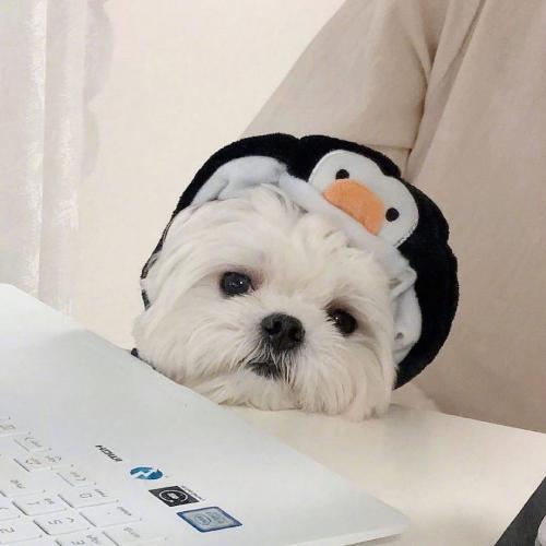 ɰȳ