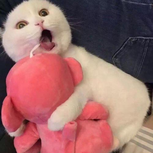 ɰȳ