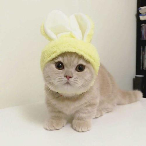 ɰȳ
